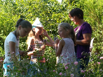 Experimente mit Gartenkräutern