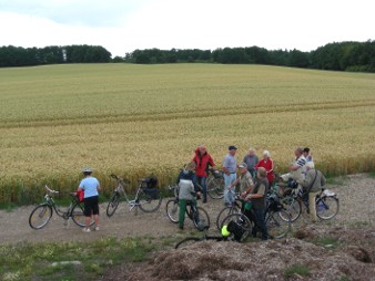 Radwanderer in den Salzwiesen